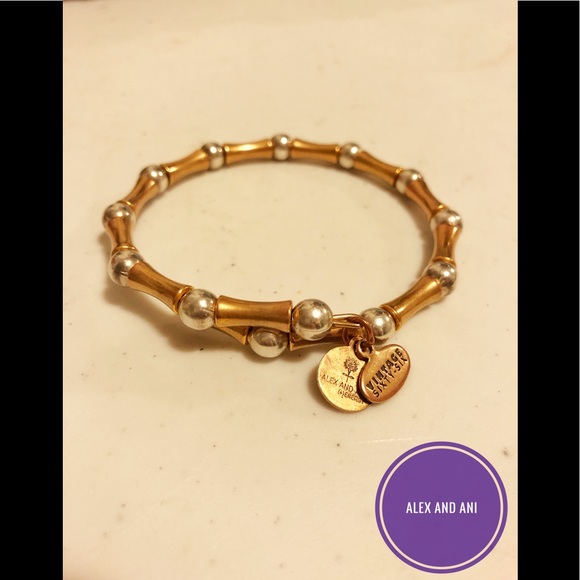 Alex and Ani Jewelry - Alex and Ani | Beaded Bracelet